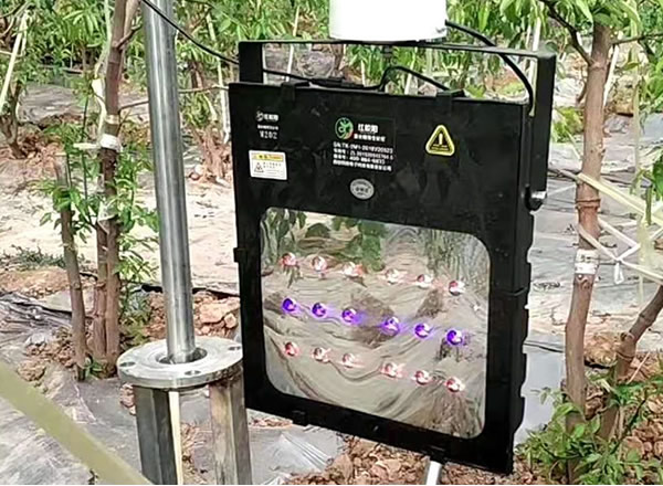 市场上口碑好的植物灯品牌有哪些?