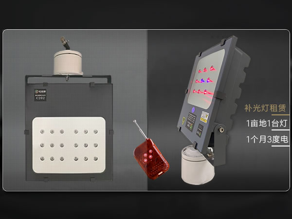 激光植物补光灯开租啦，1年只需500元