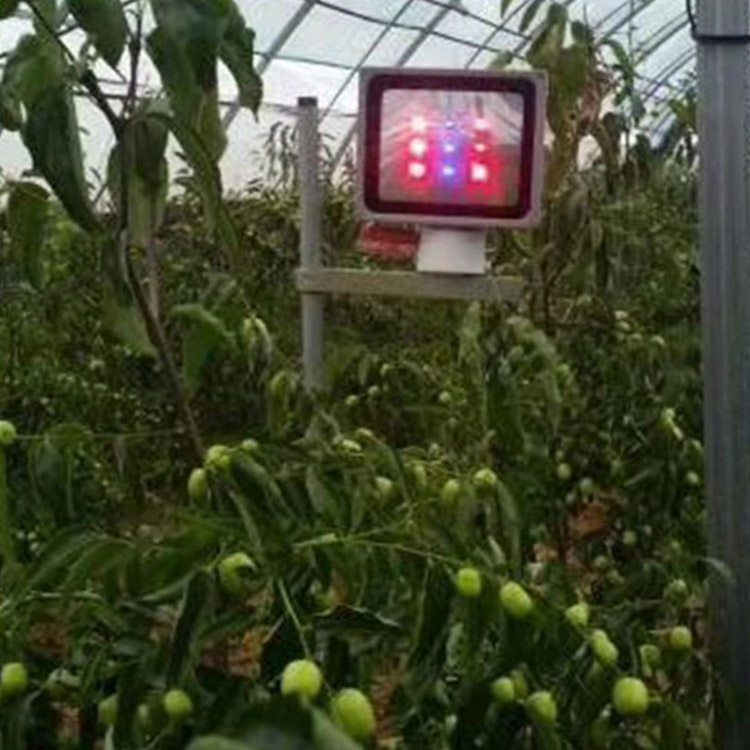 冬枣补光灯的选择